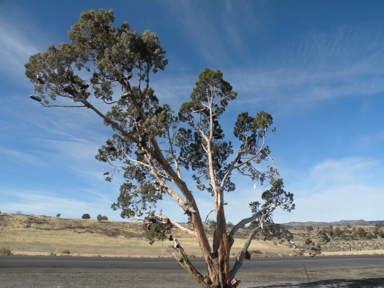 Shoe Tree