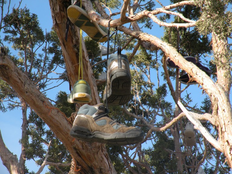 nevada-shoe-tree-2