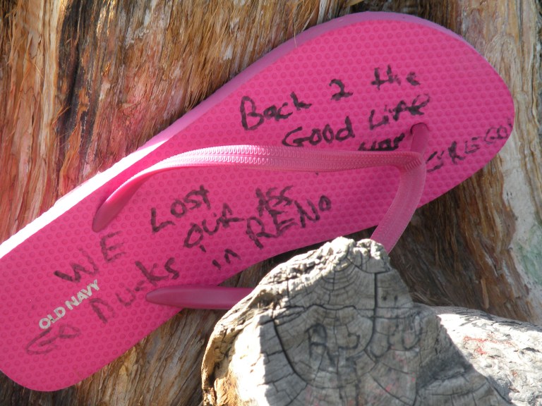 nevada-shoe-tree-3