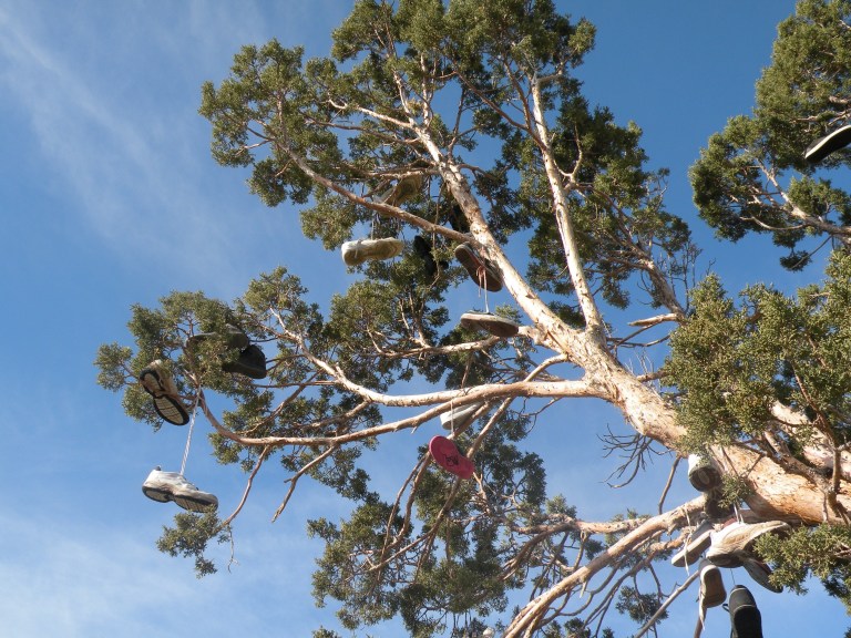 nevada-shoe-tree-4