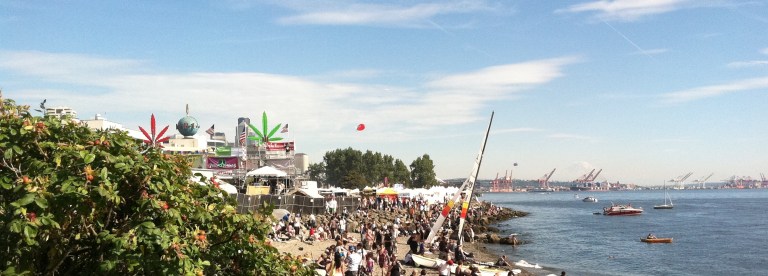 Seattle Hemp Fest - beach view