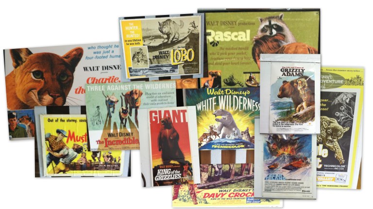 Disney Movie Posters of Films Related to Olympic Game Farm