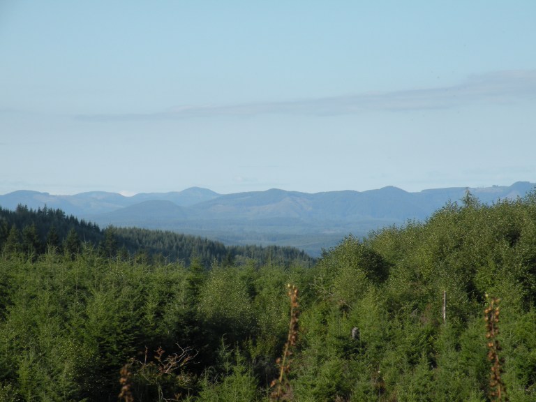 the bluing effect of water over distance (Tyndall effect)