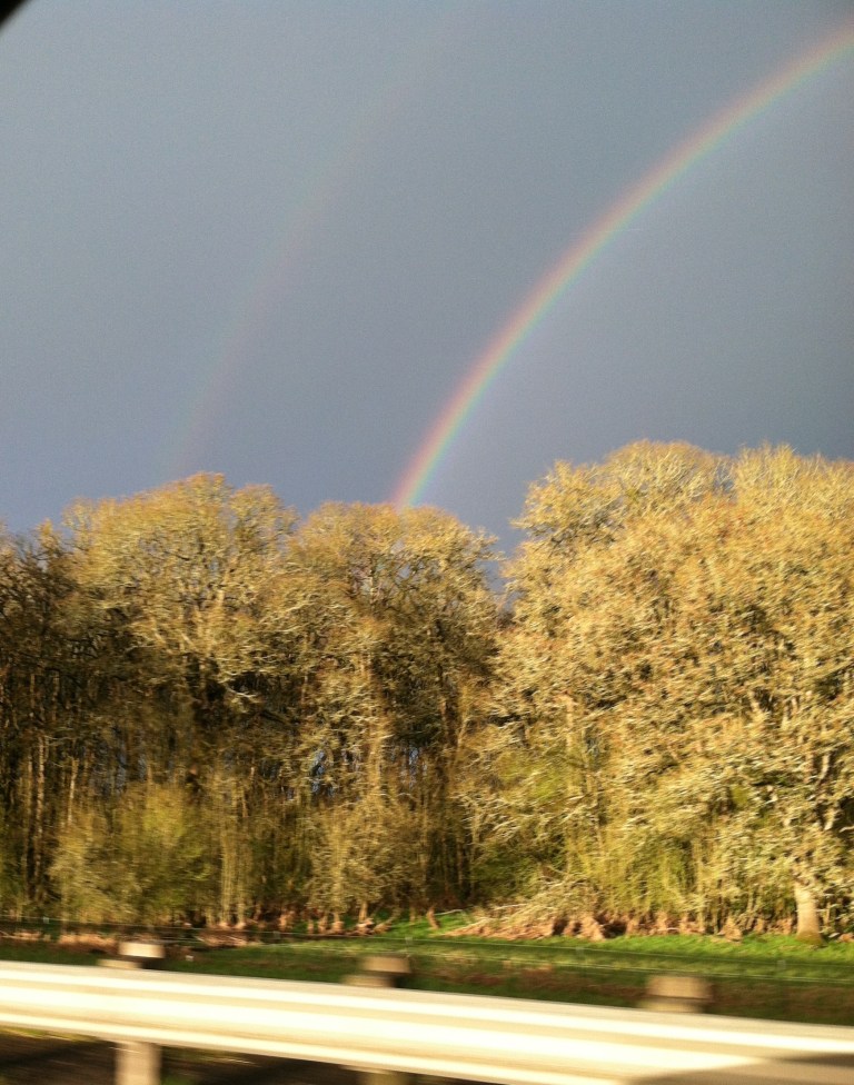Double Rainbow over Trees