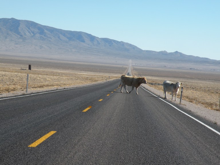 Watch for Pedestrians