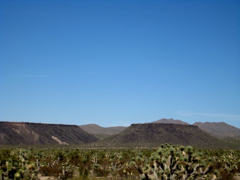 Joshua Tree National Park