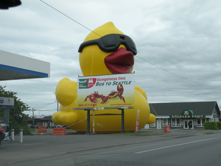 that's a big duck