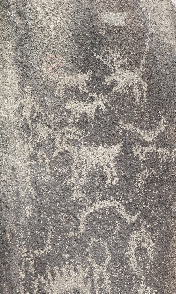 Petroglyphs from the Ginkgo Petrified Forest