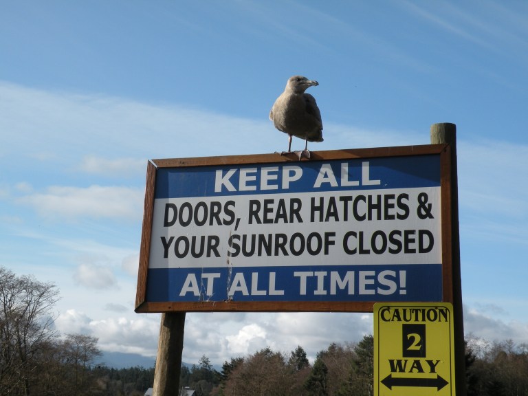 yeah - keep sunroof closed!