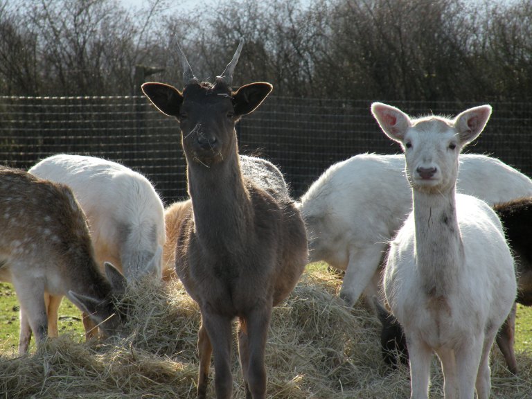 I have something on my face, don't I?