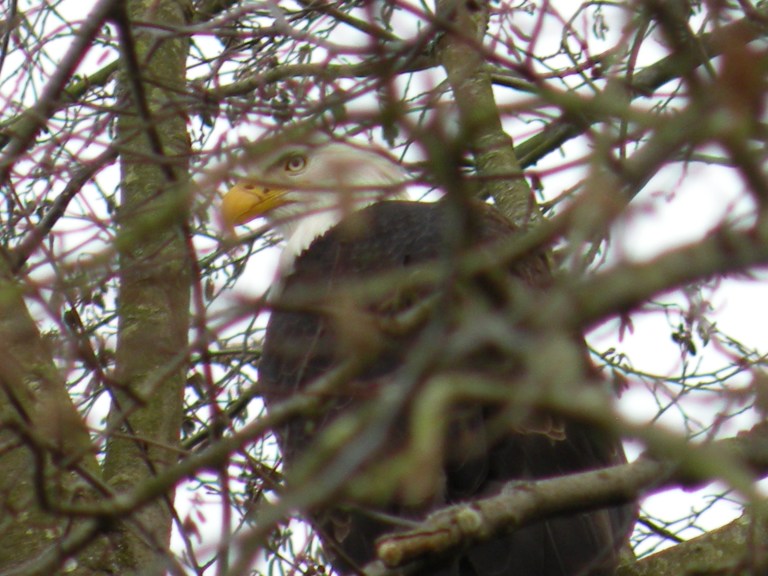 are you looking at me?