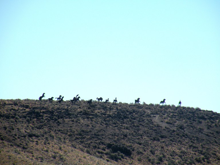 Grandfather cuts loose the ponies