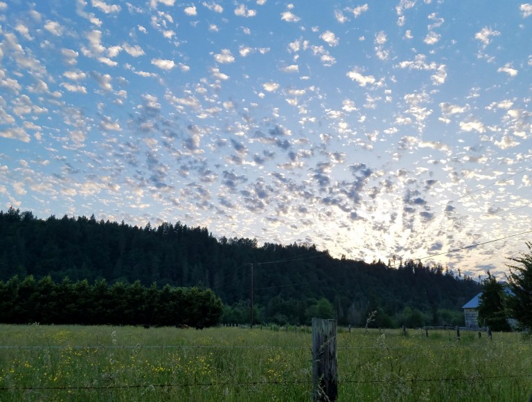 popcorn clouds